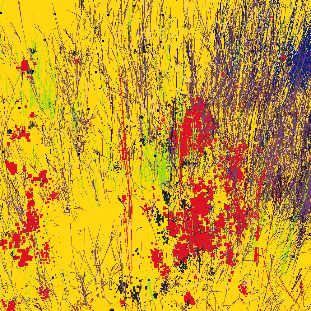 Infinite Garden: 25234 Flowers
