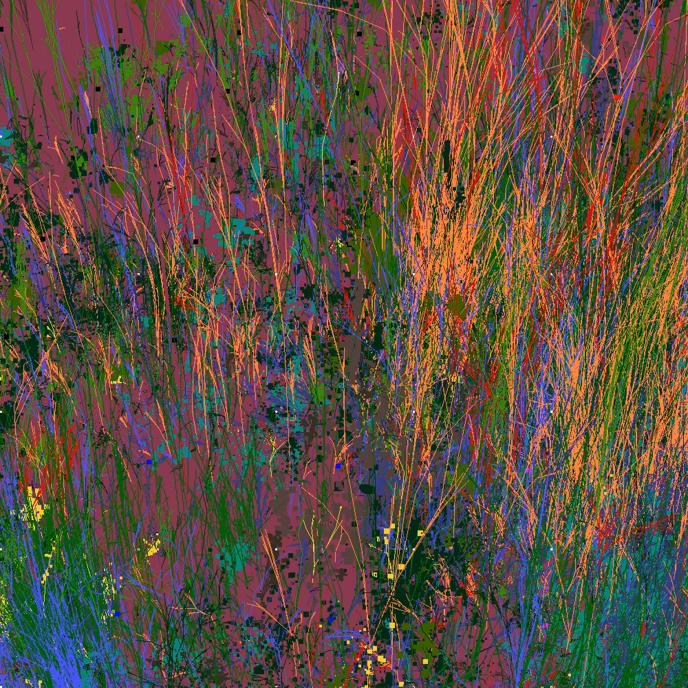 Infinite Garden: 73557 Flowers