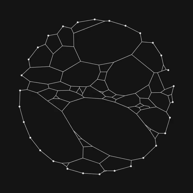 Elastic Web #163