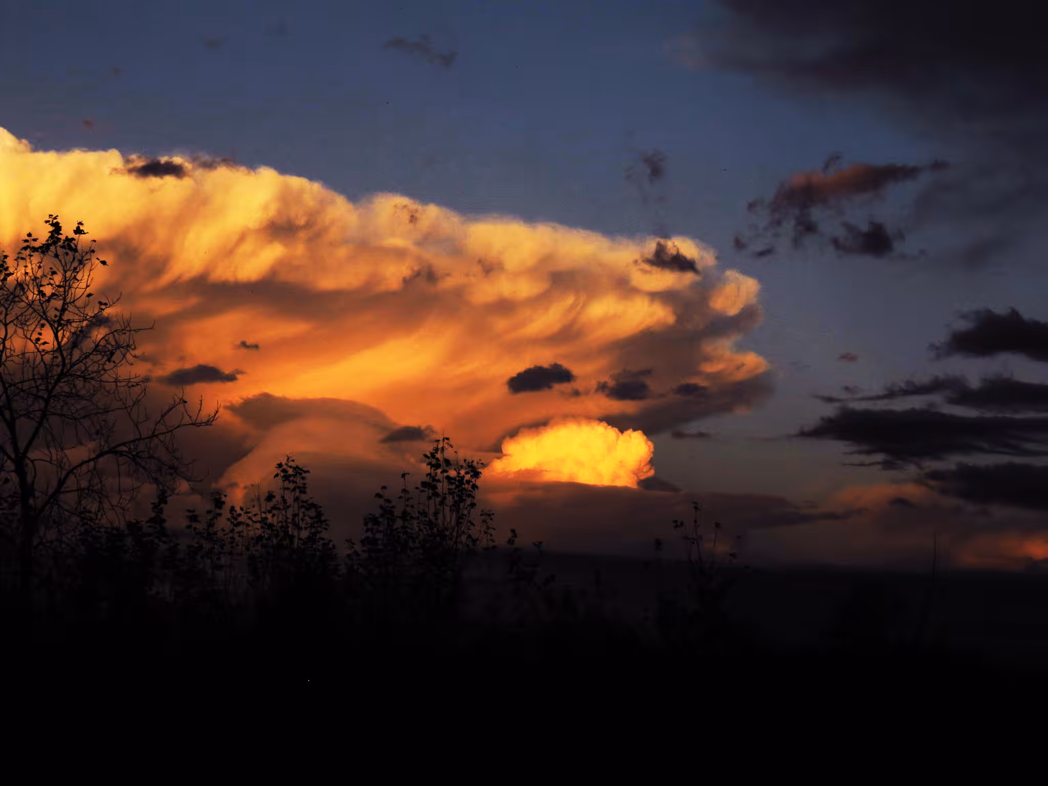 Mushroom Clouds