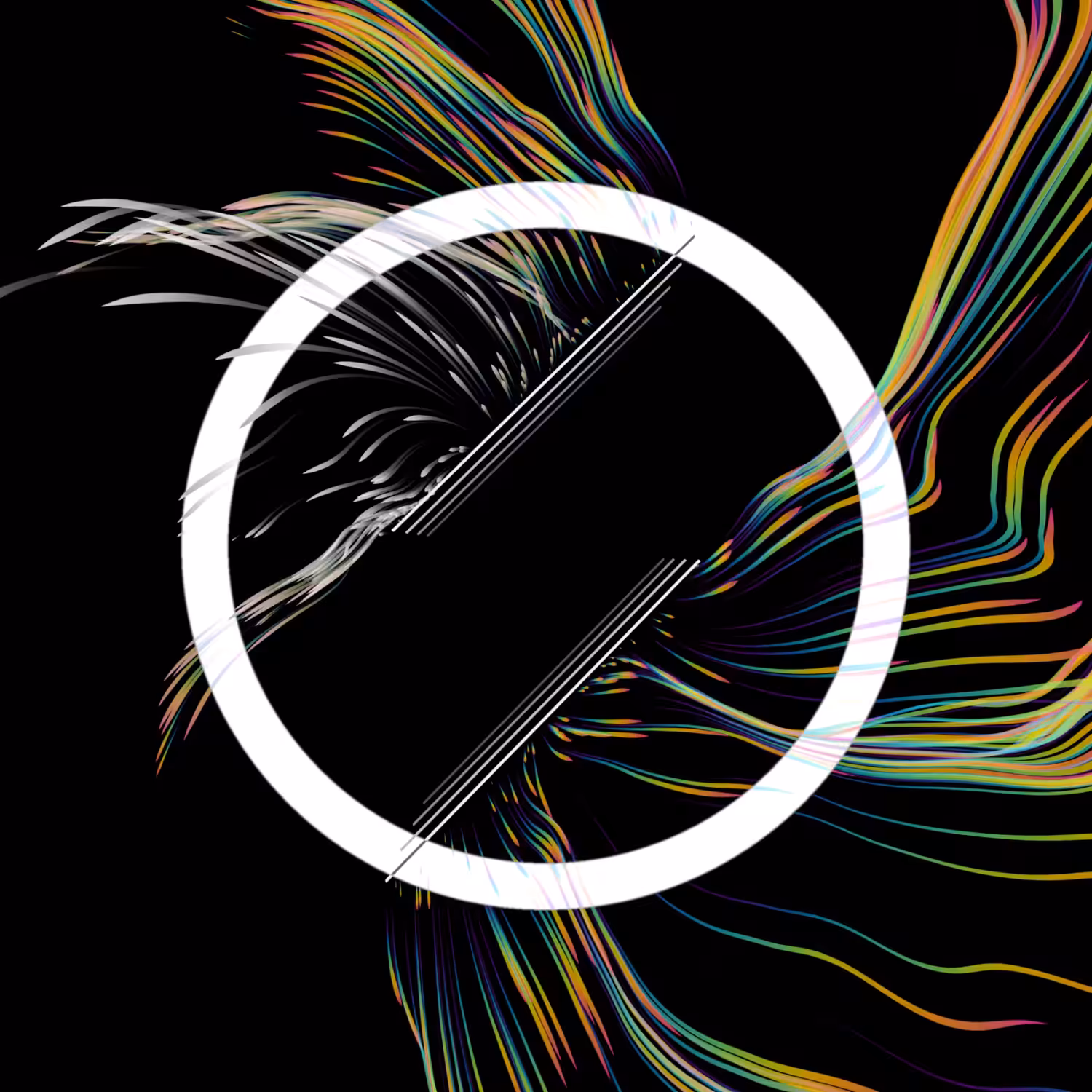 Vortex #618