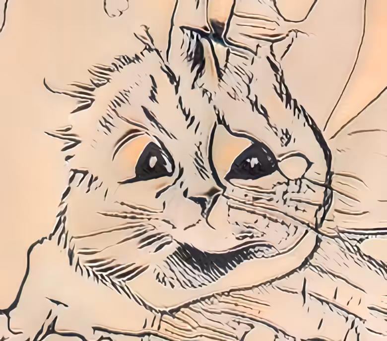Confounded Cat