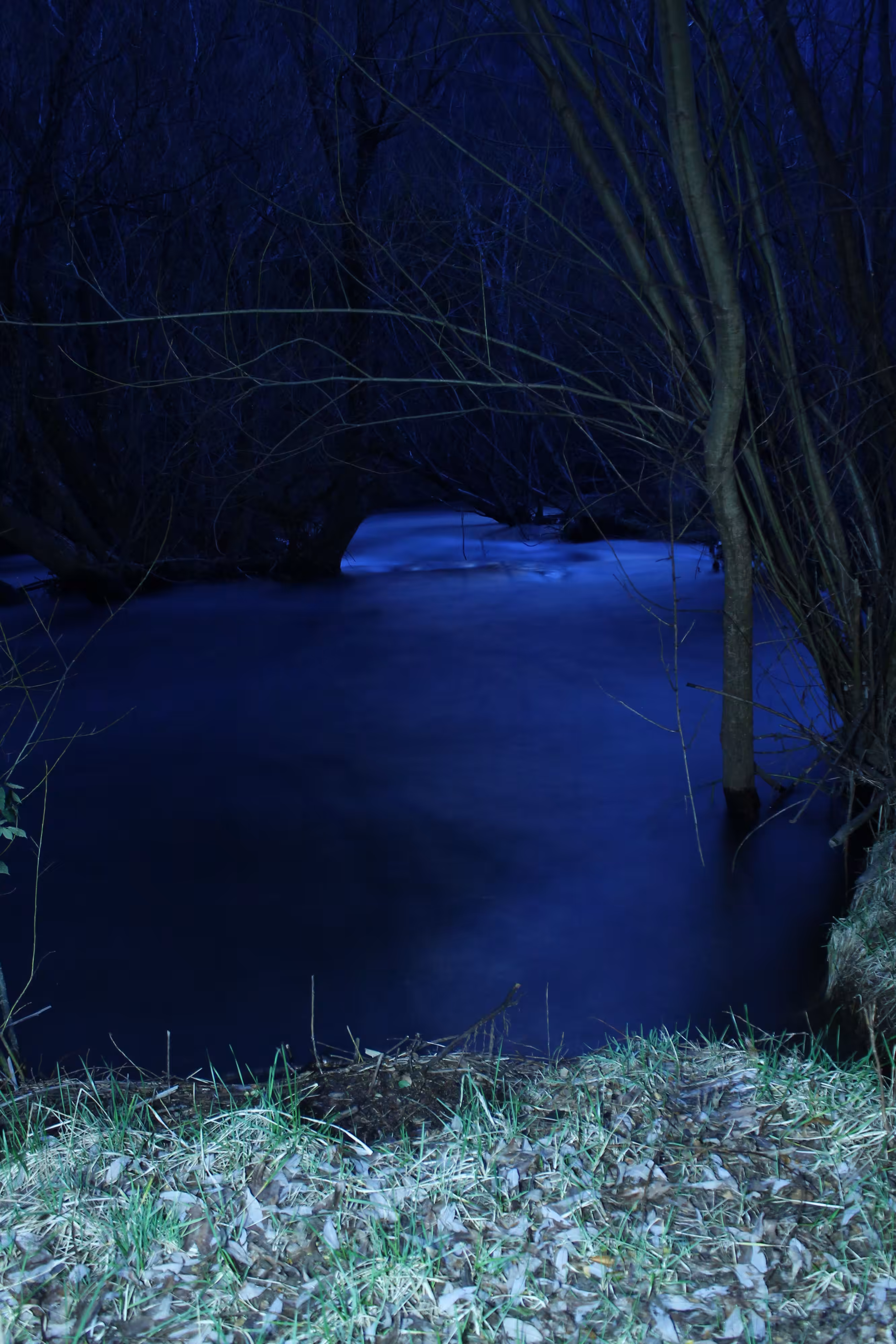 Luz de luna sobre el rio