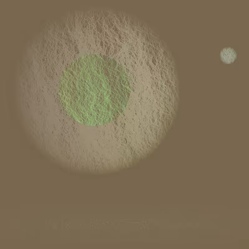 Orbit #9