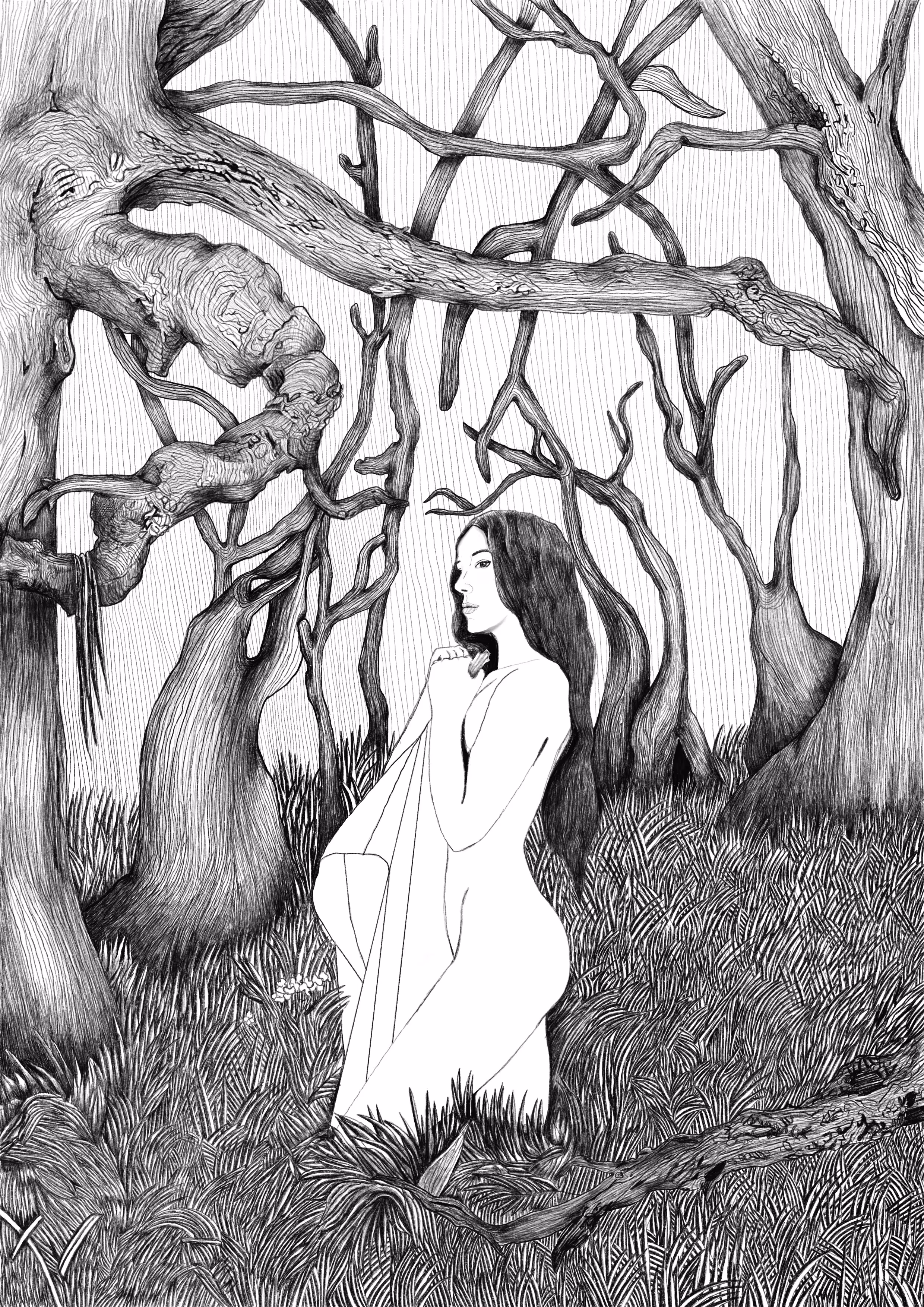 Dryad