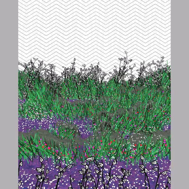 Contours #33