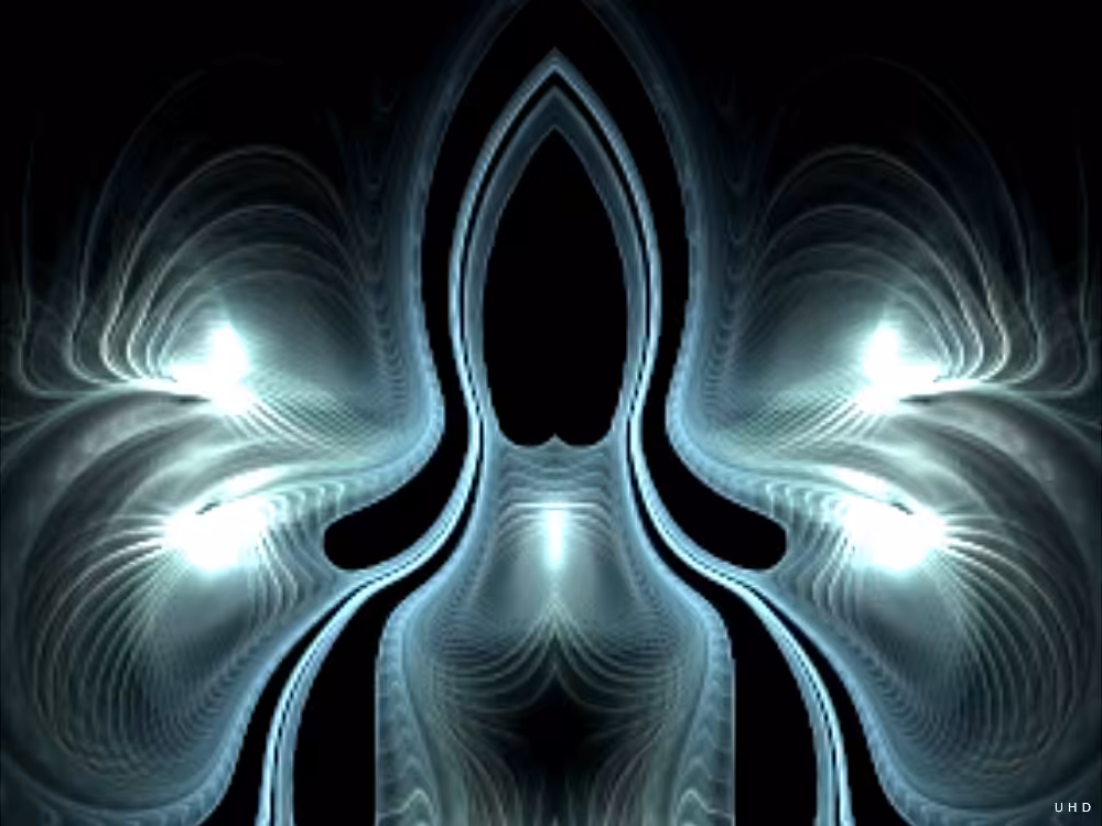 X-ray of strange creatures 02