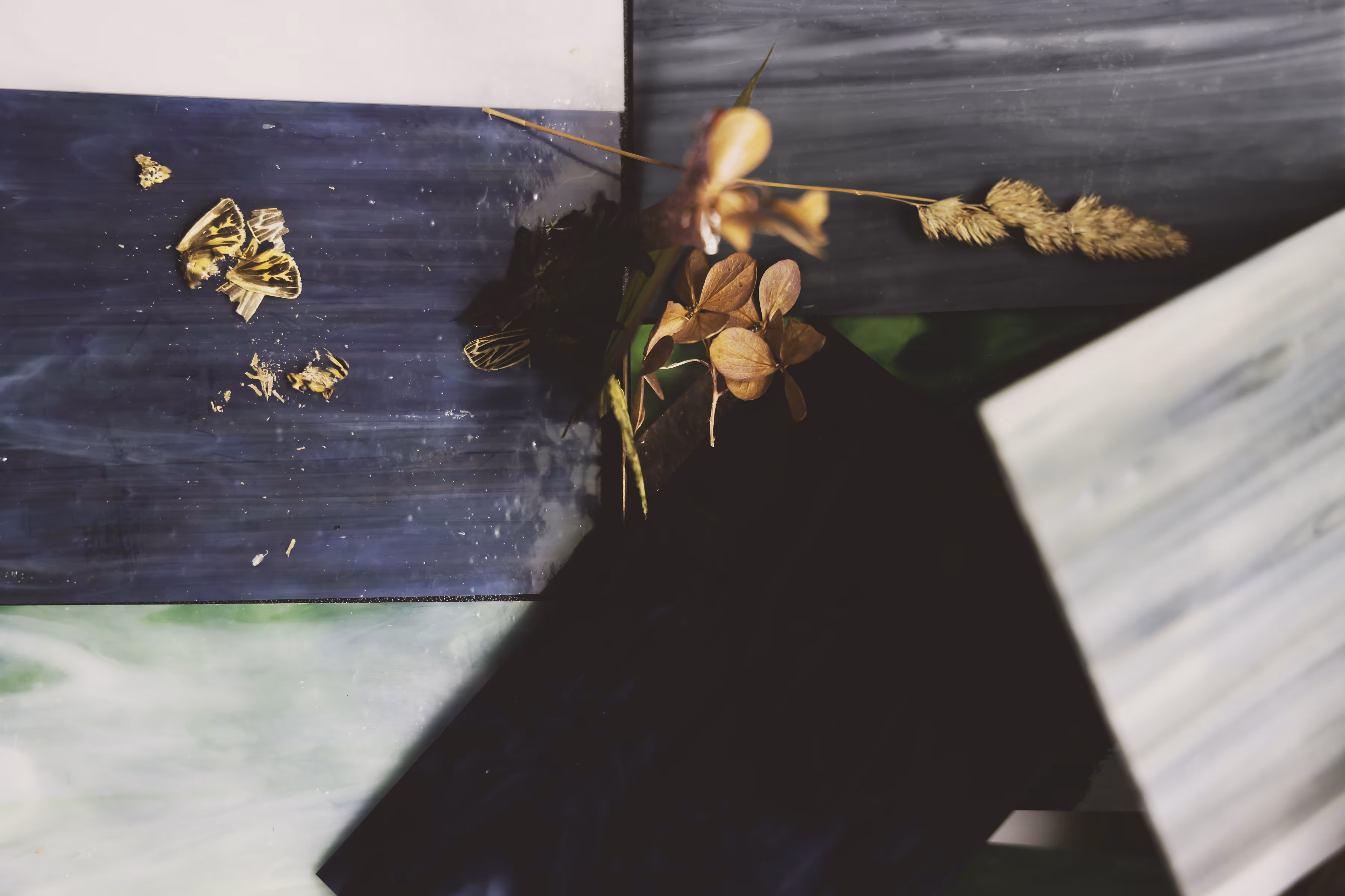 _flightless 