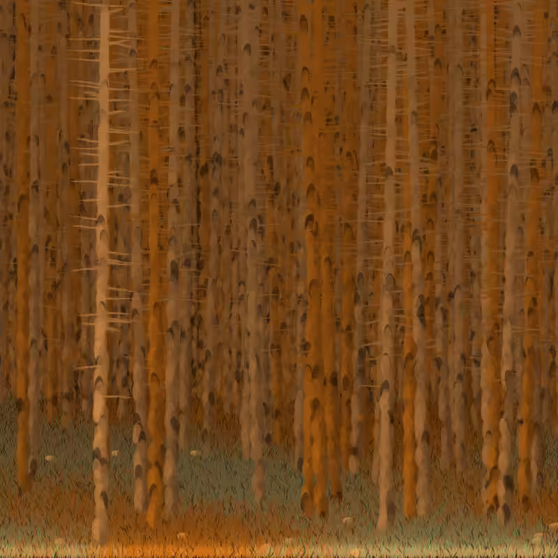 Berkenbos #11