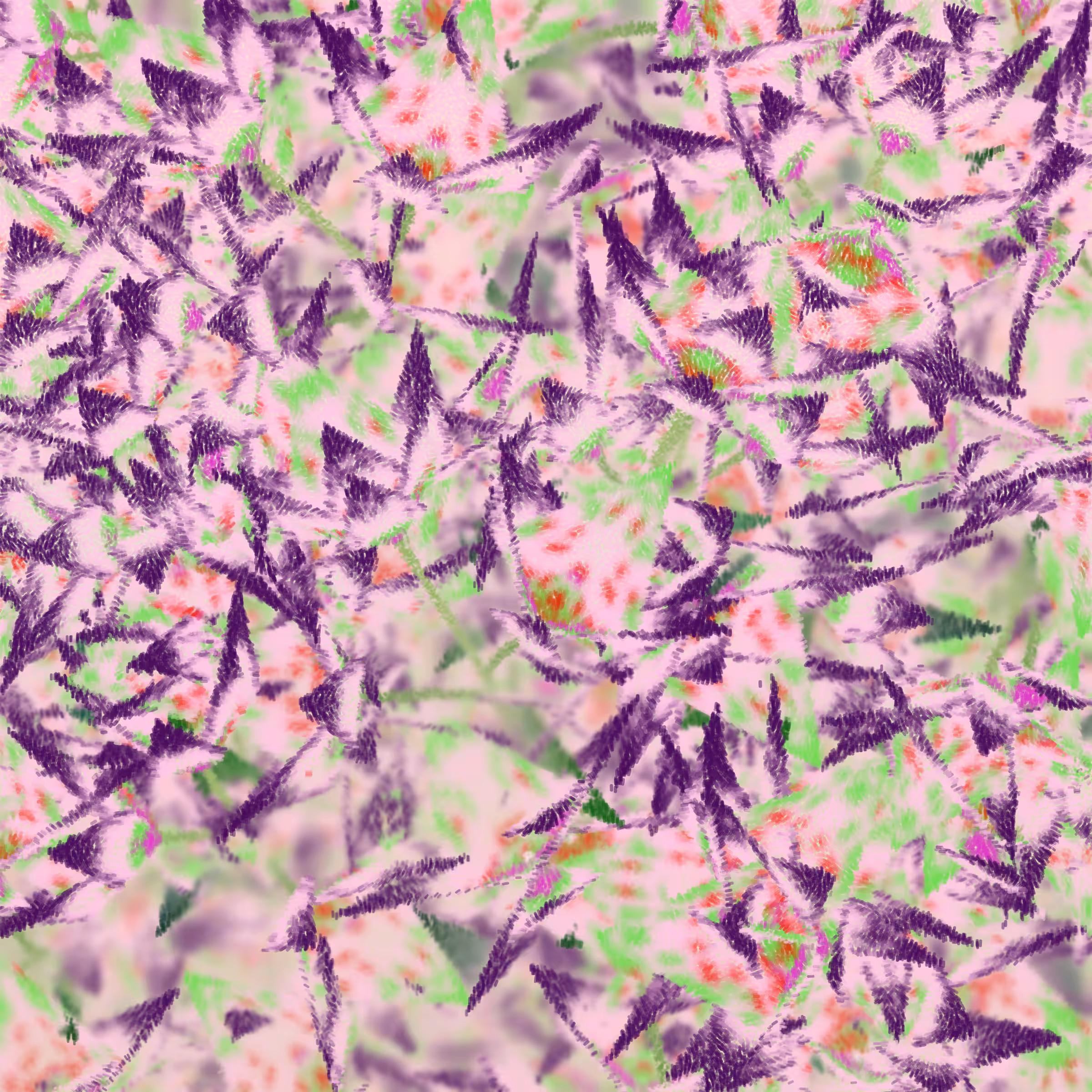 Cattleya #254