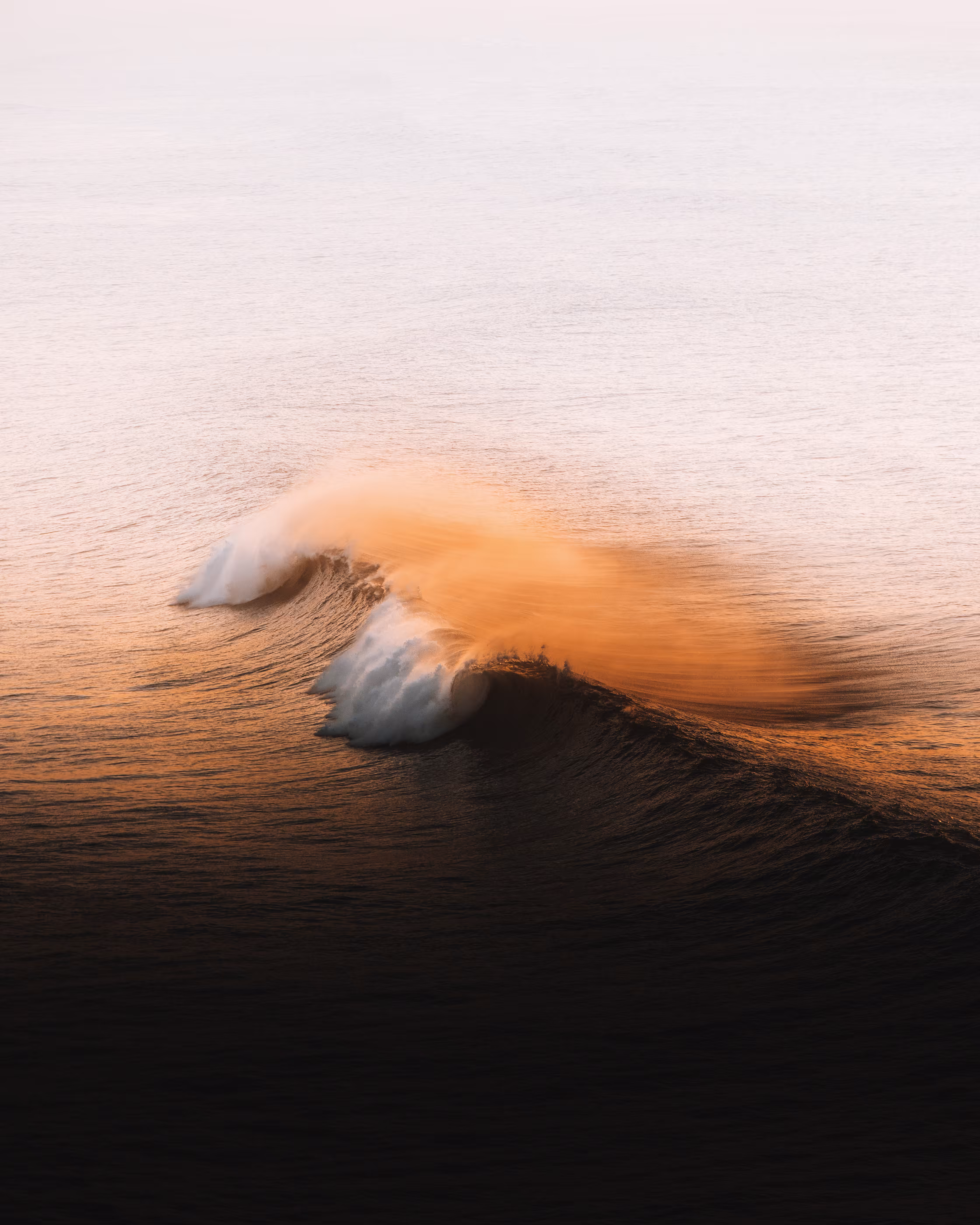 Ocean Of Gold