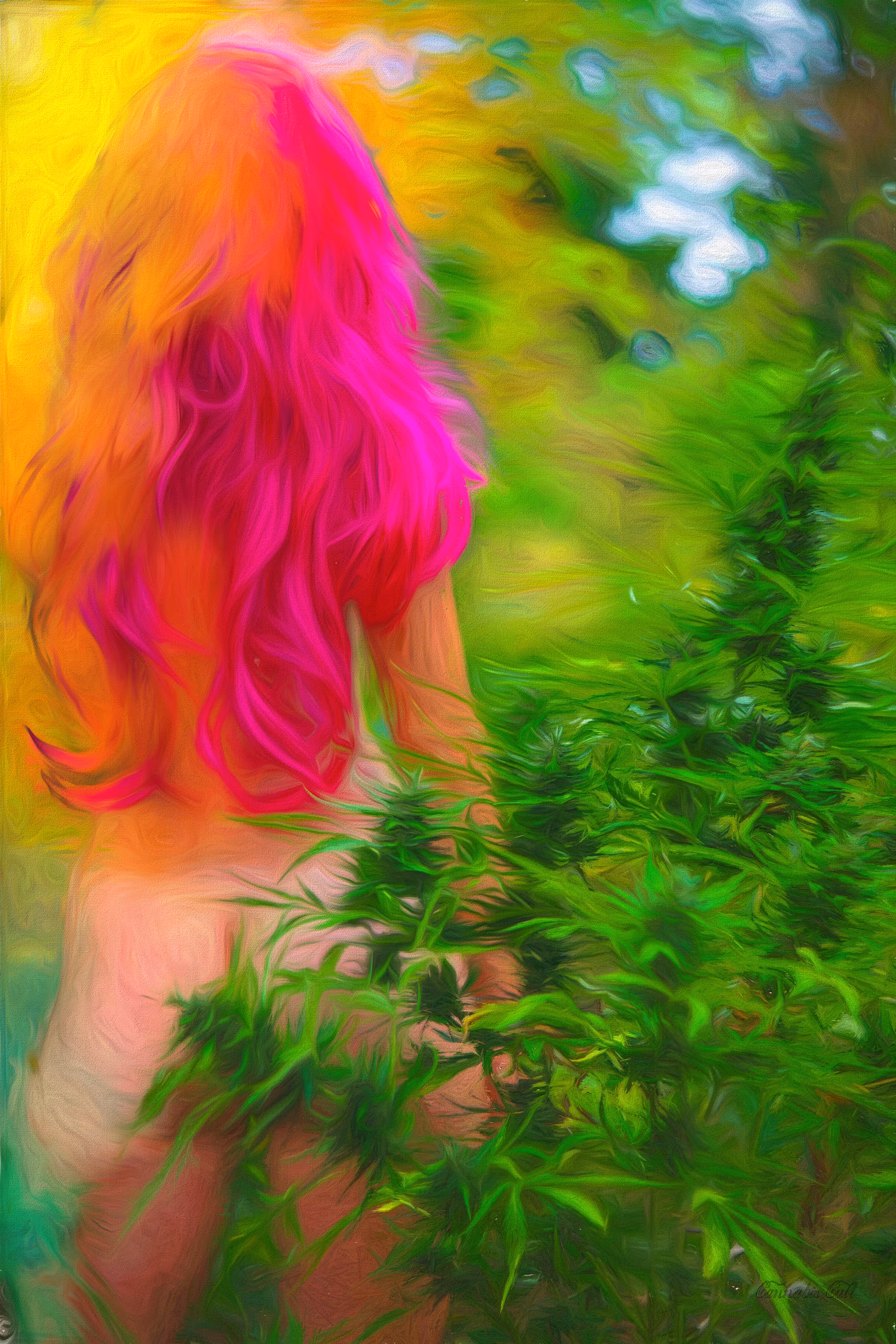 naked sunrise in cannabis garden