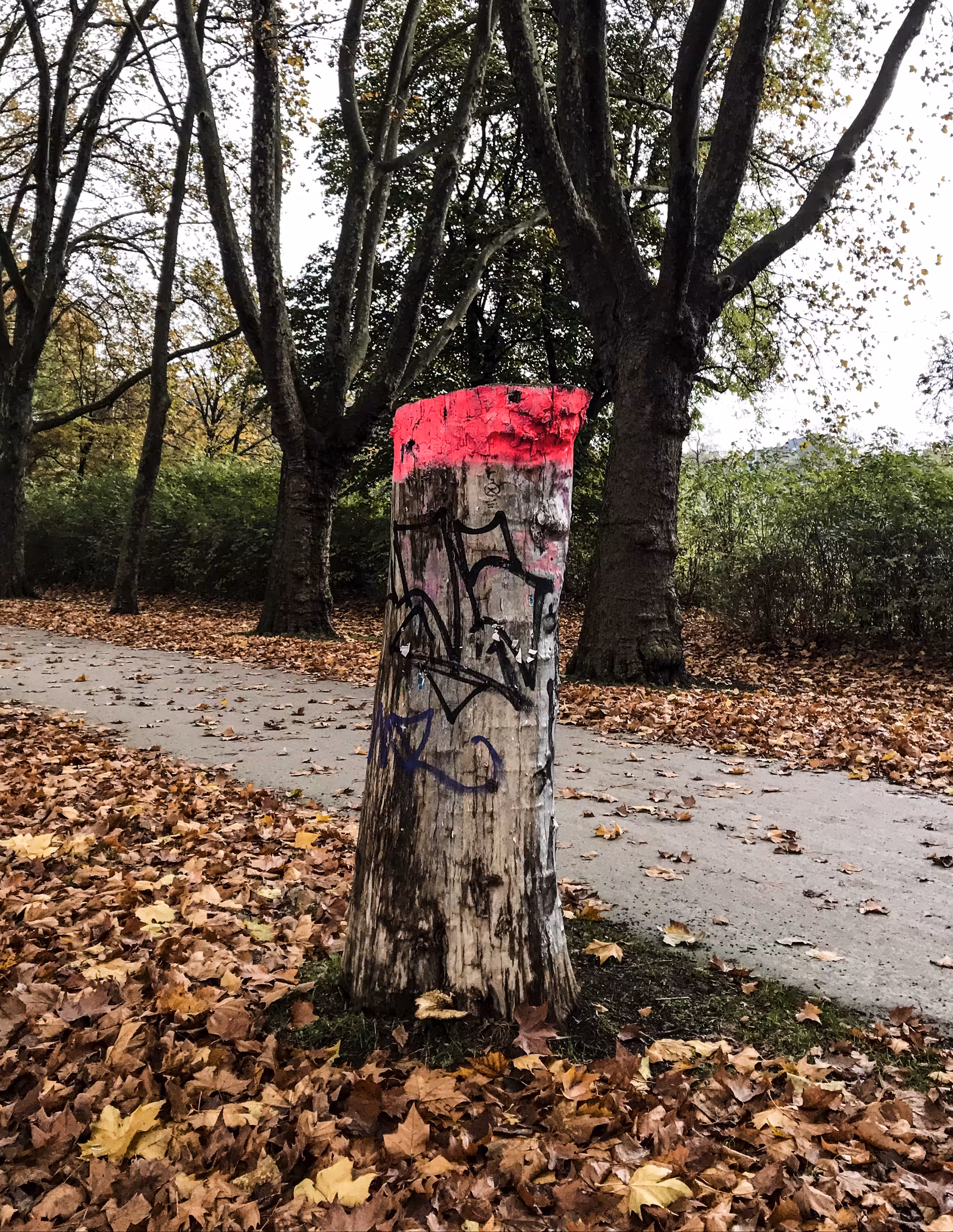 Banalism # 64