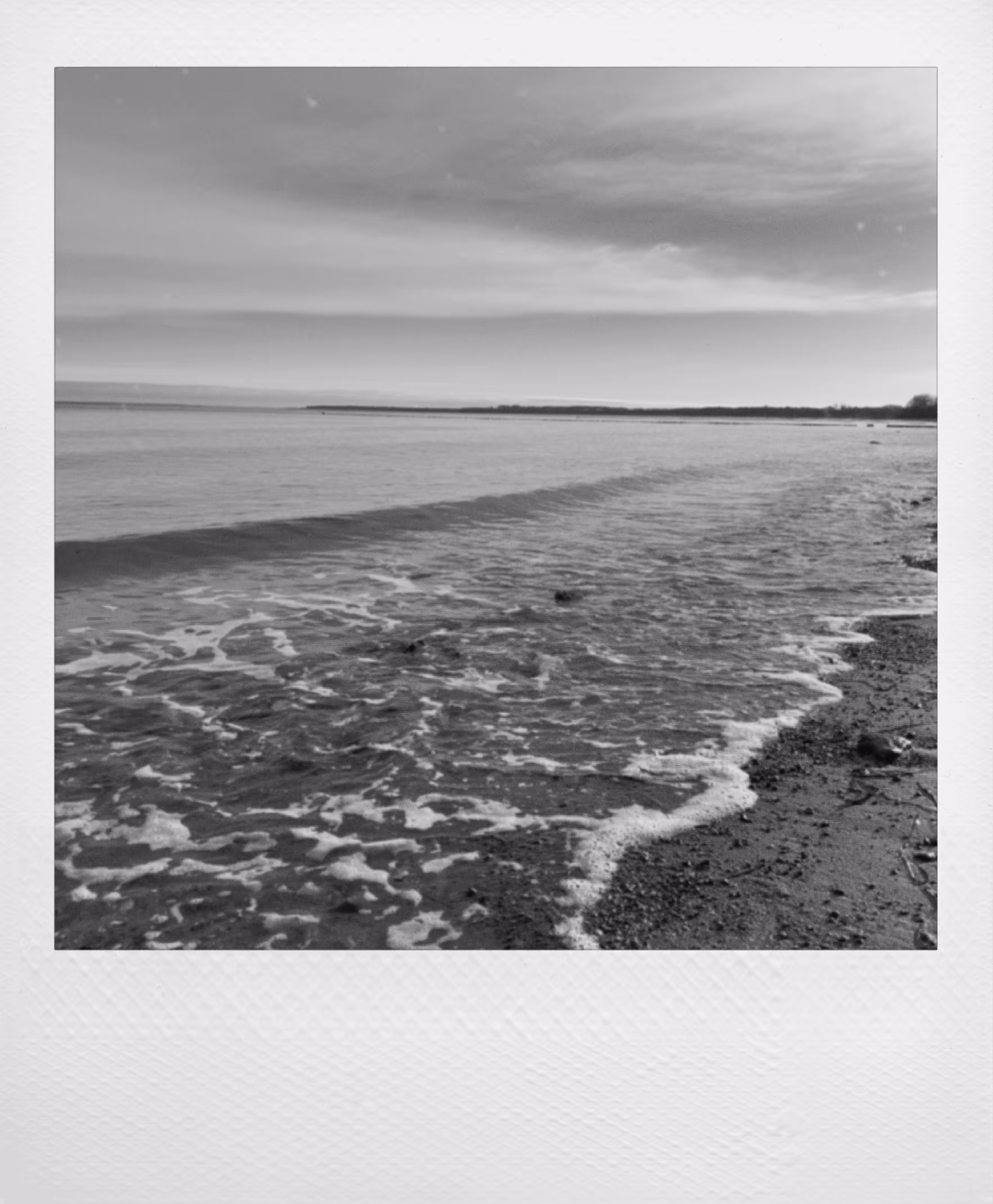 Sea