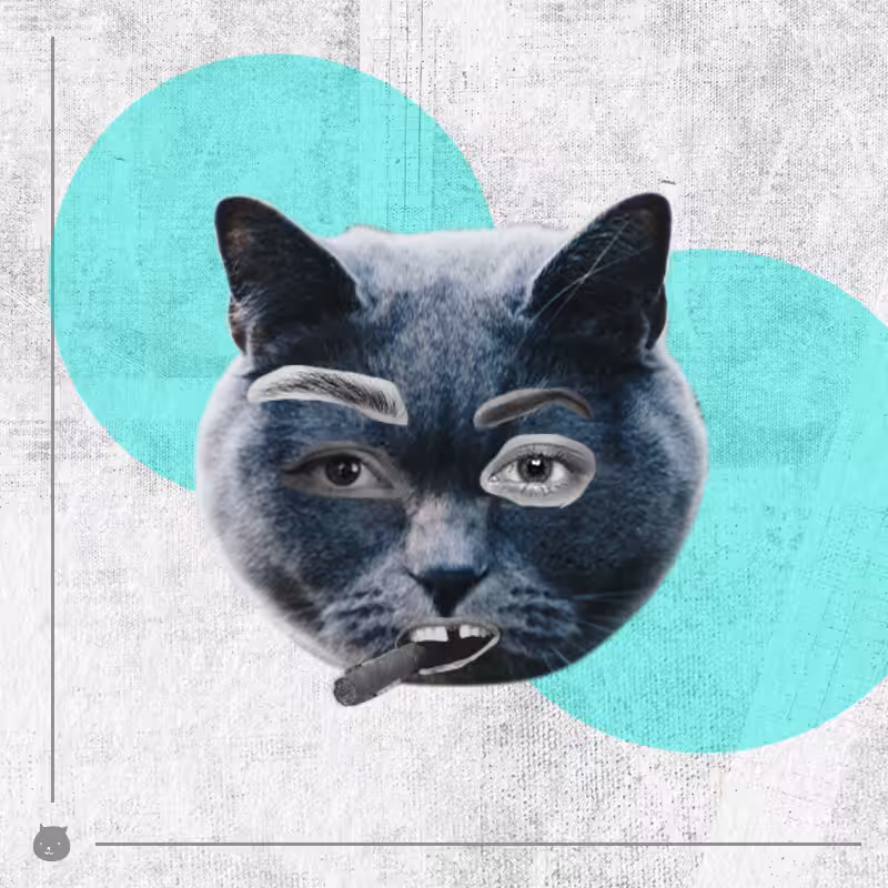 Kittenstein #39