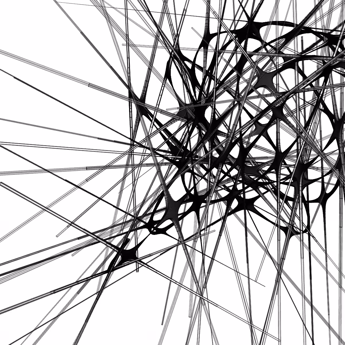 Neuro Structure #16