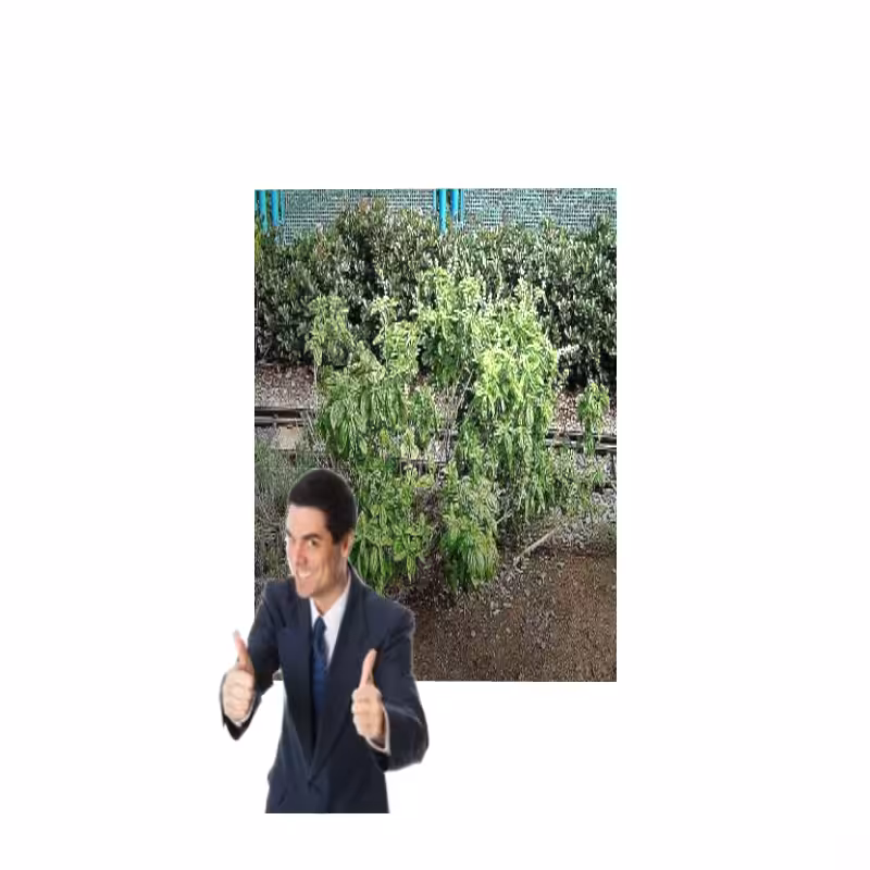 ART BASIL 2022 #63