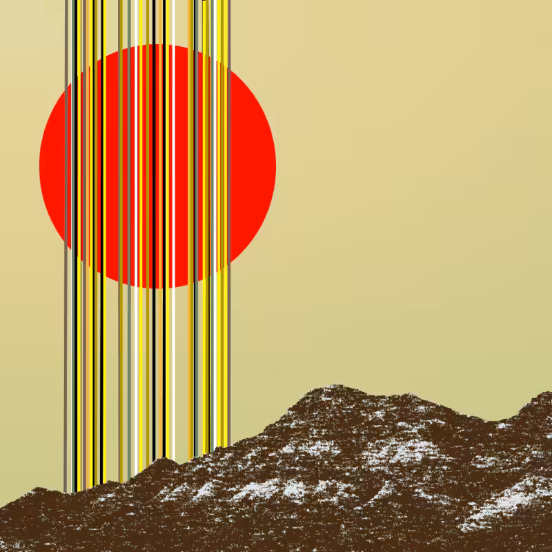 collage #1  from nature #38