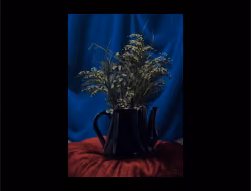 Timelapse of "Still life with some plant on a teapot"