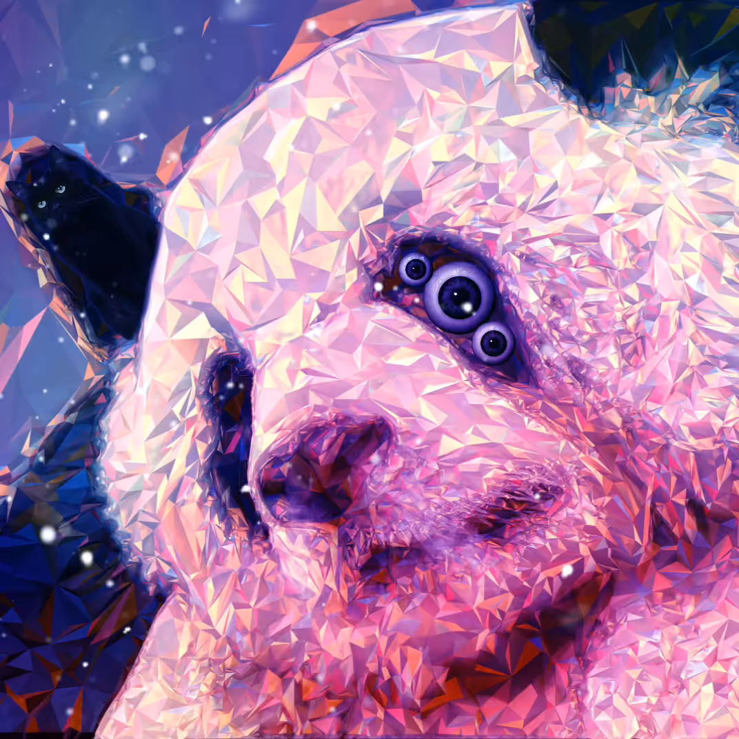 The Other Side of Panda