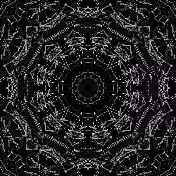 BW 008