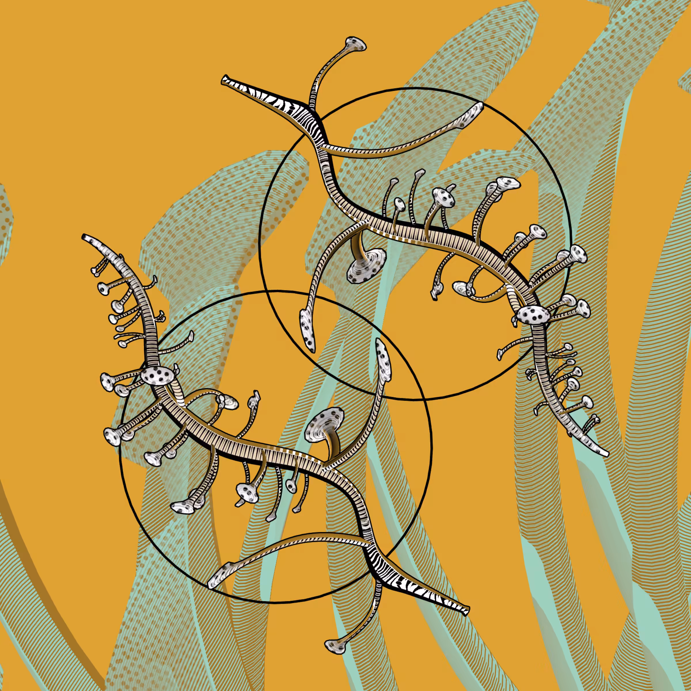 Seadragons #568