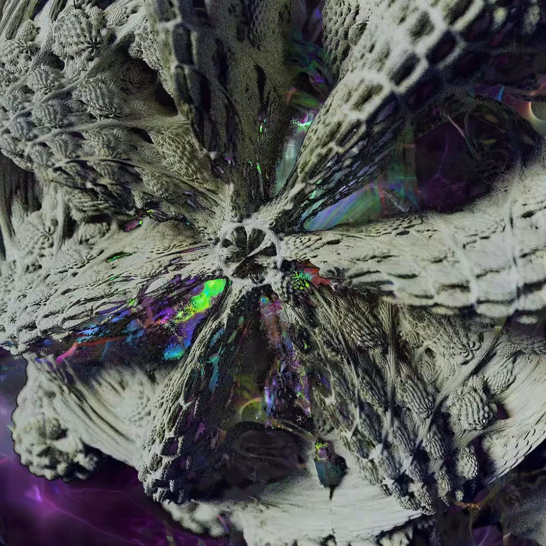 Cubensis Trip 01