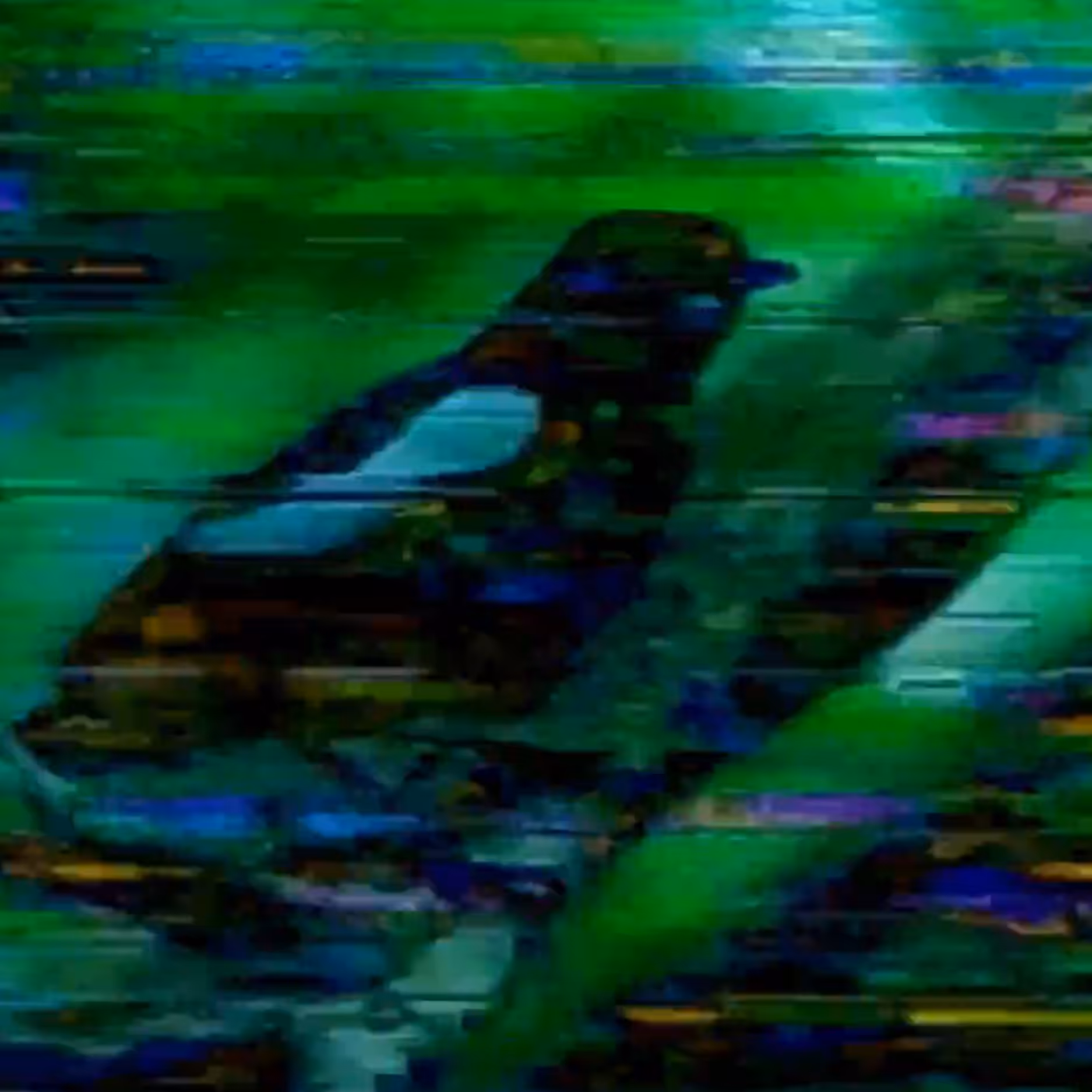vhs dream 0054