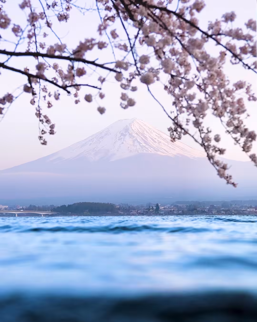 Mount Fuji
