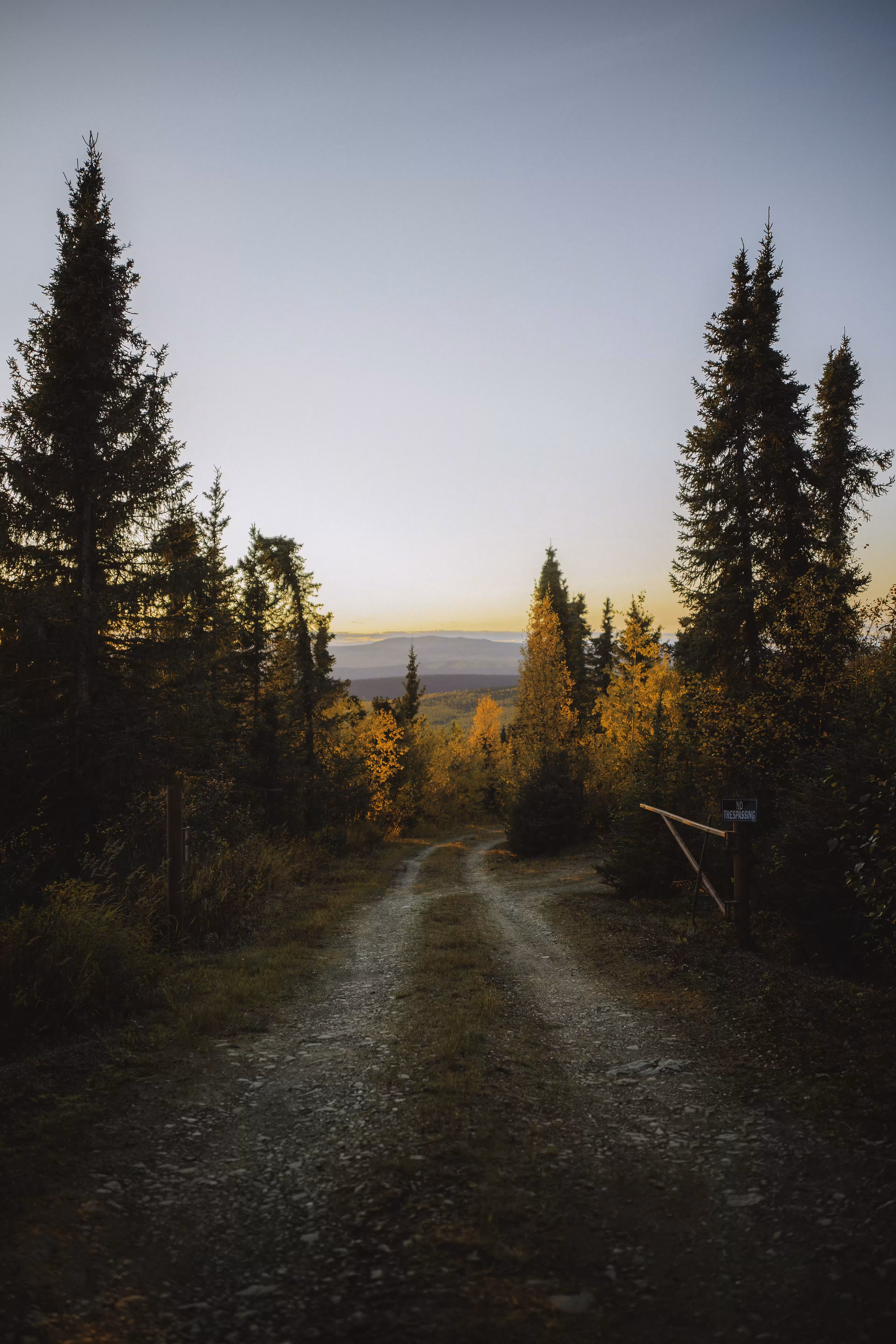 Arctic Evening