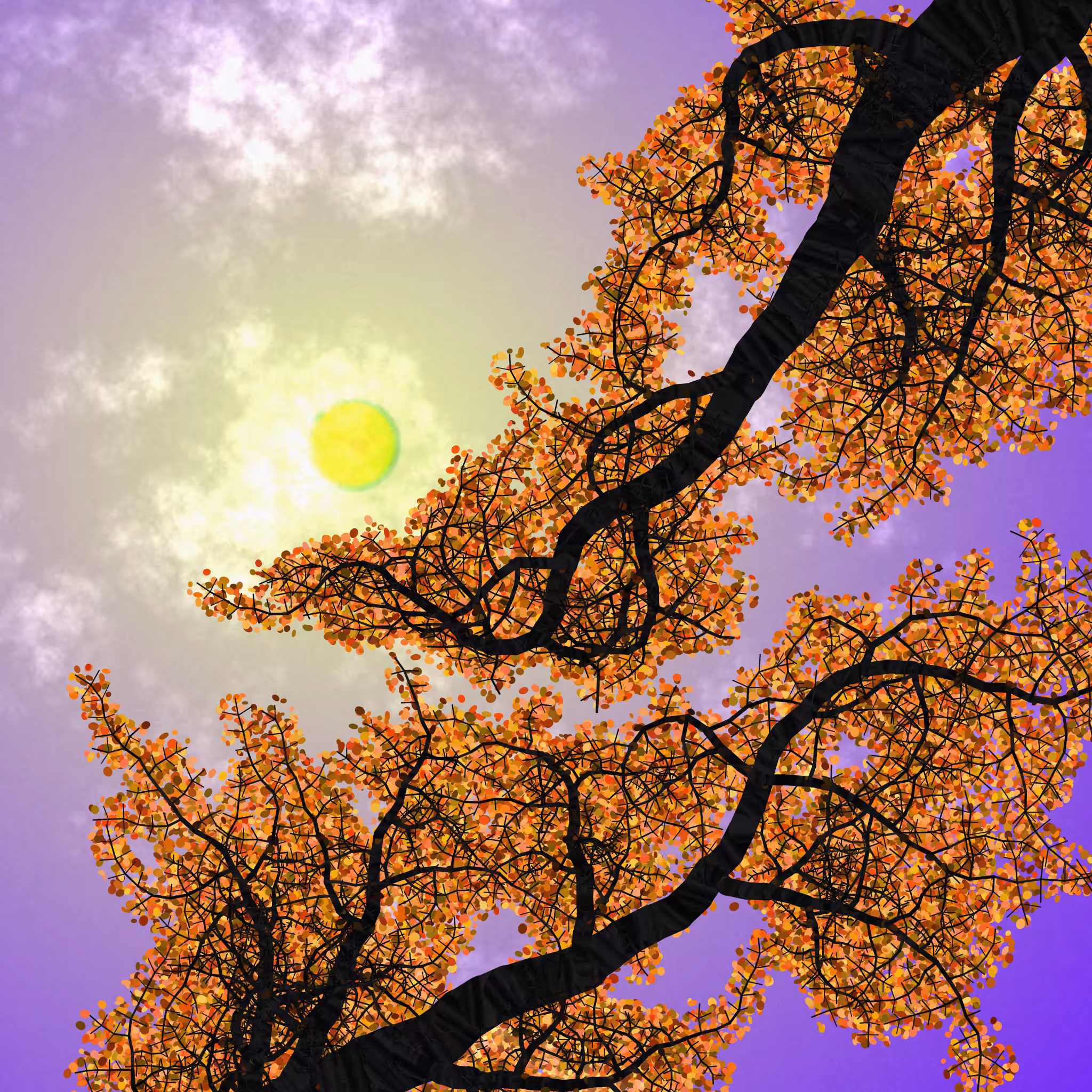 Tree Skyness #7