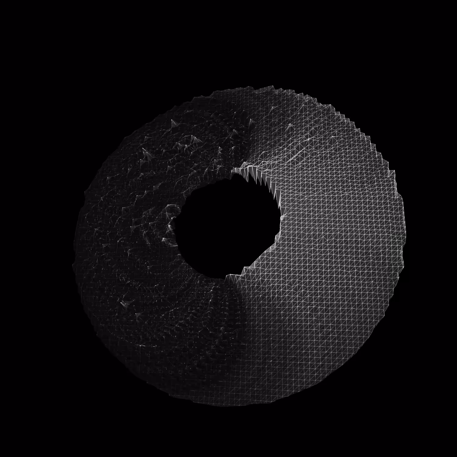 torus asteroid fjord