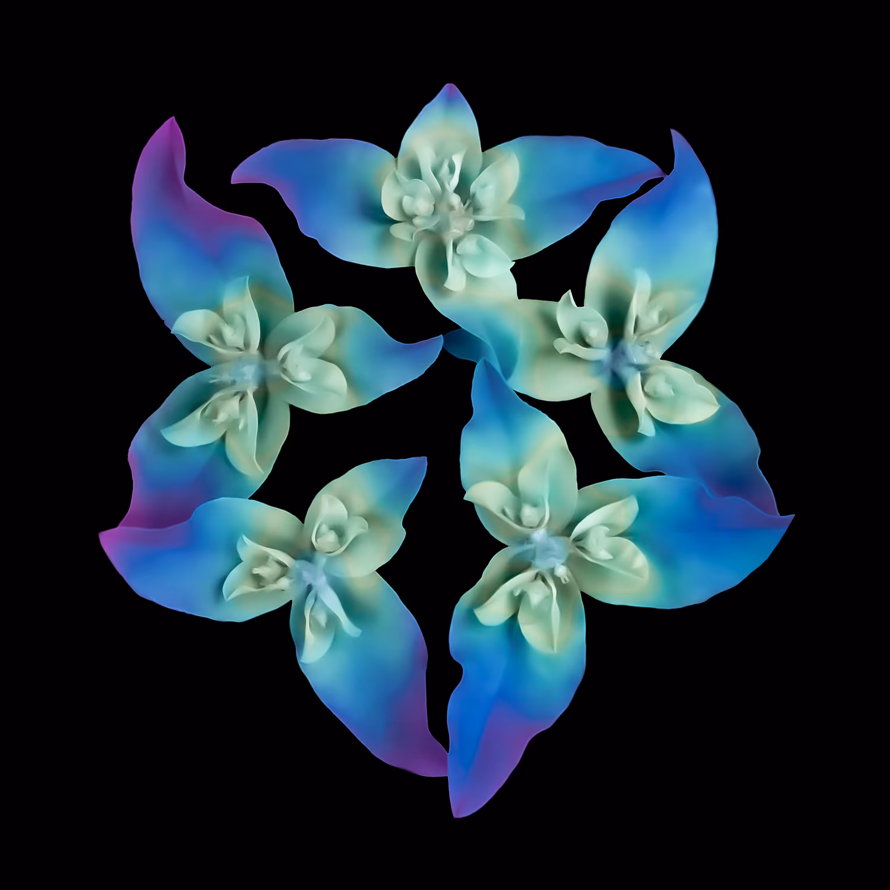❀.15