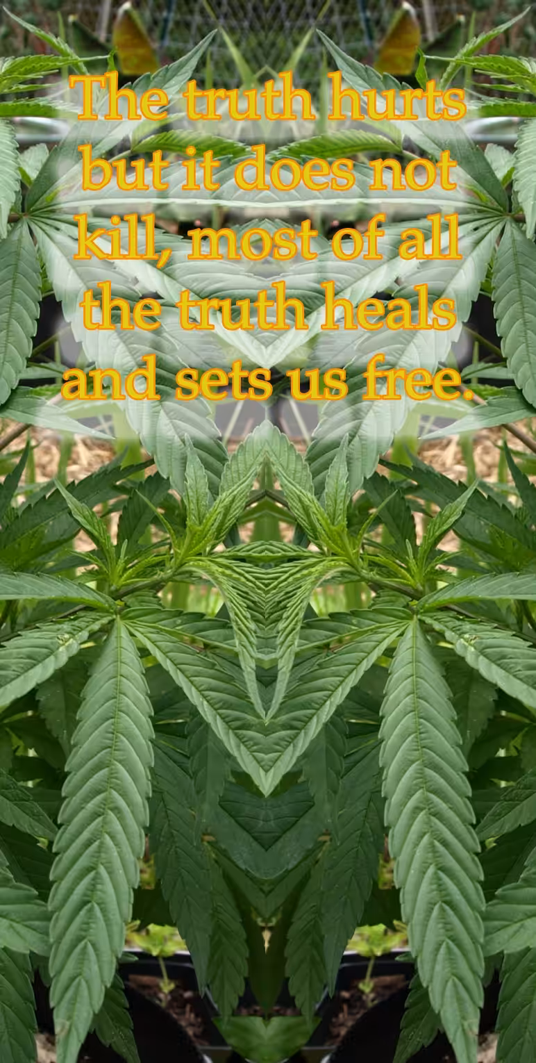 TRUTH HEALS