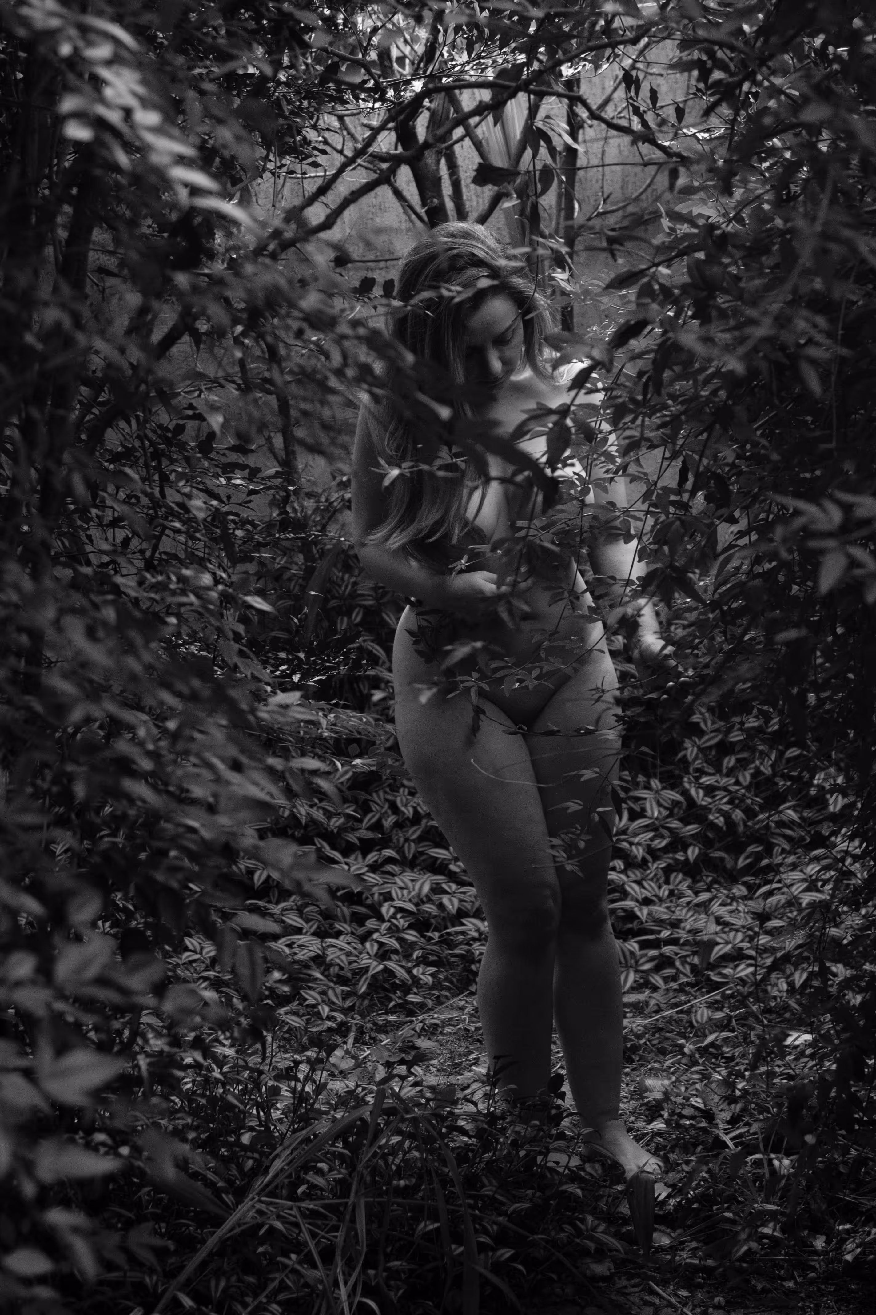 In Natura #1