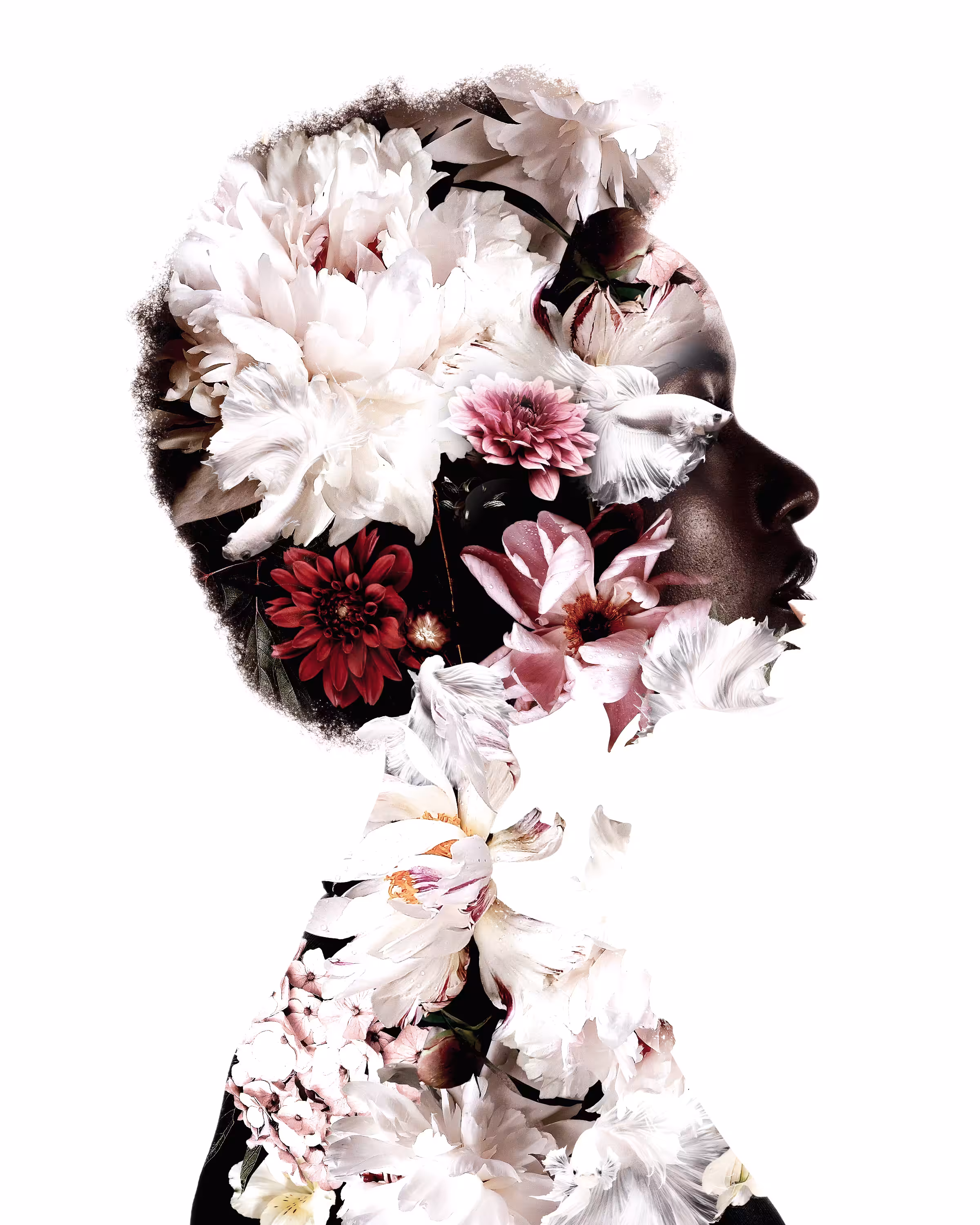 Pure Bloom
