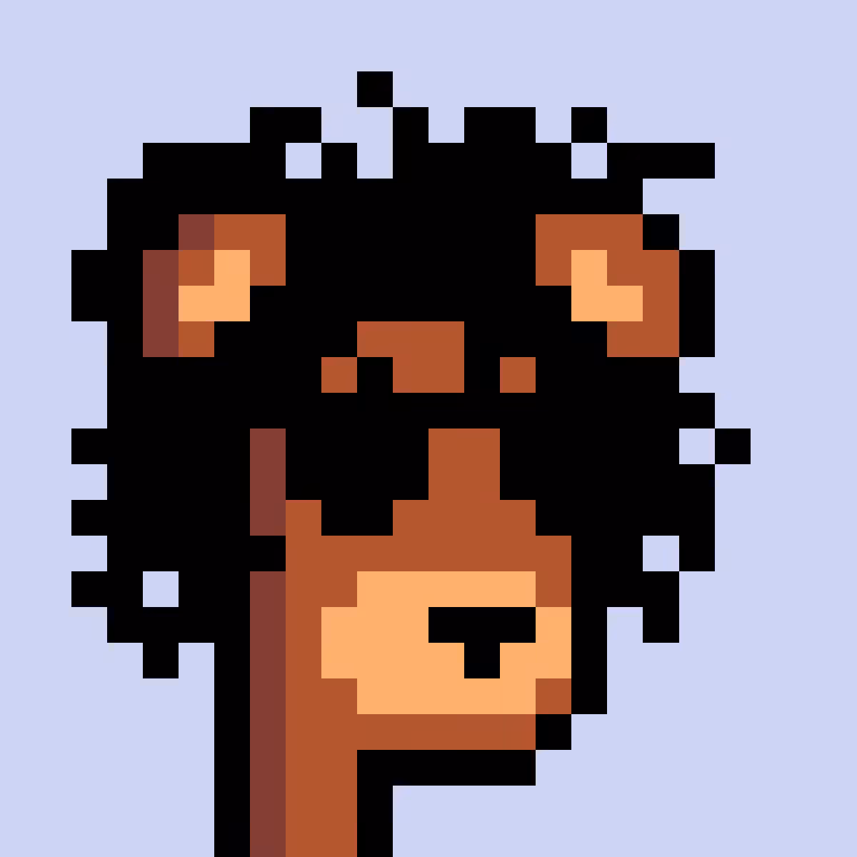 BearPunks #2501