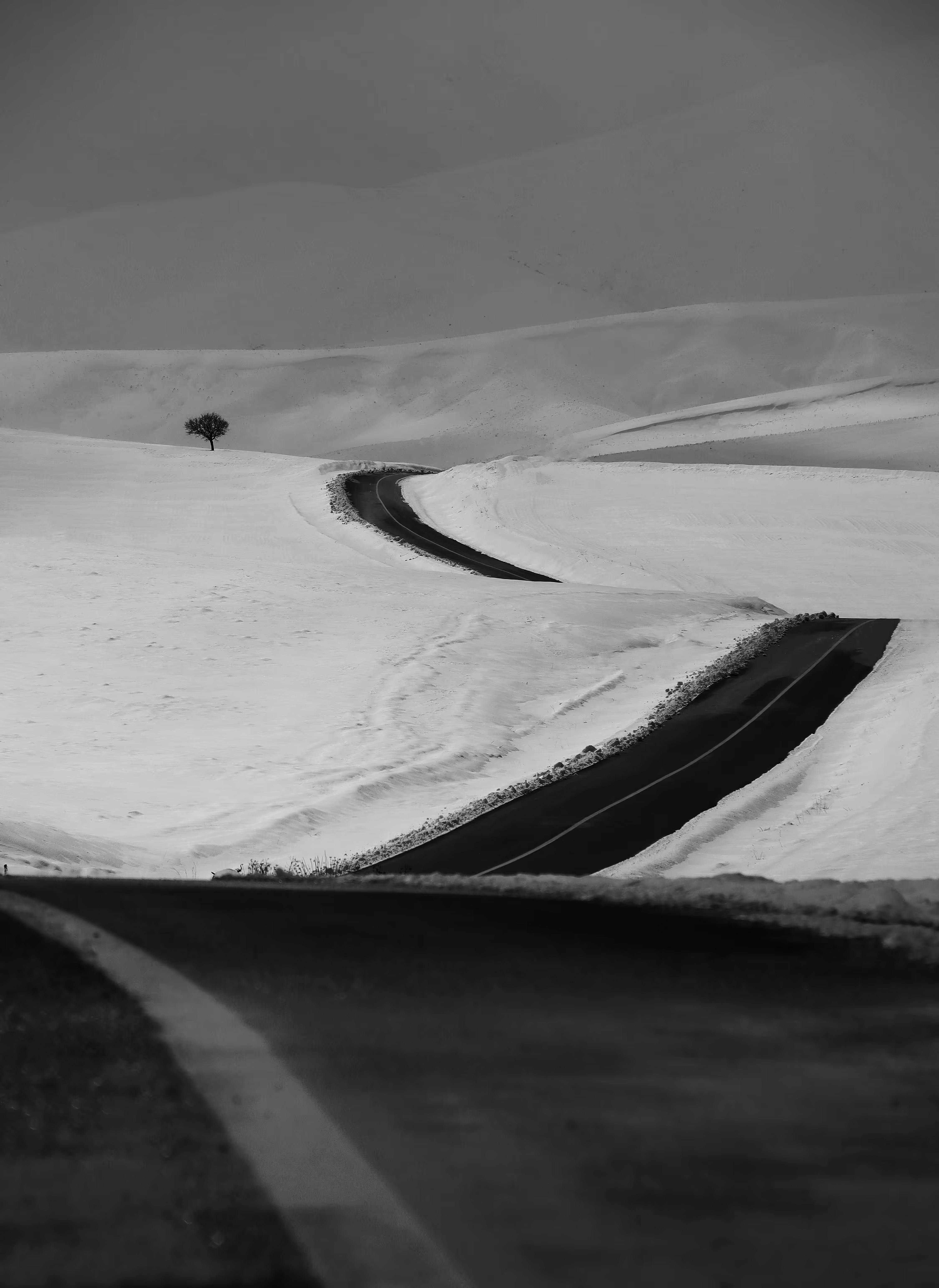 Lonely road