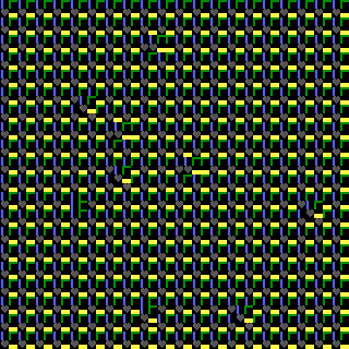 CGA Safari #135