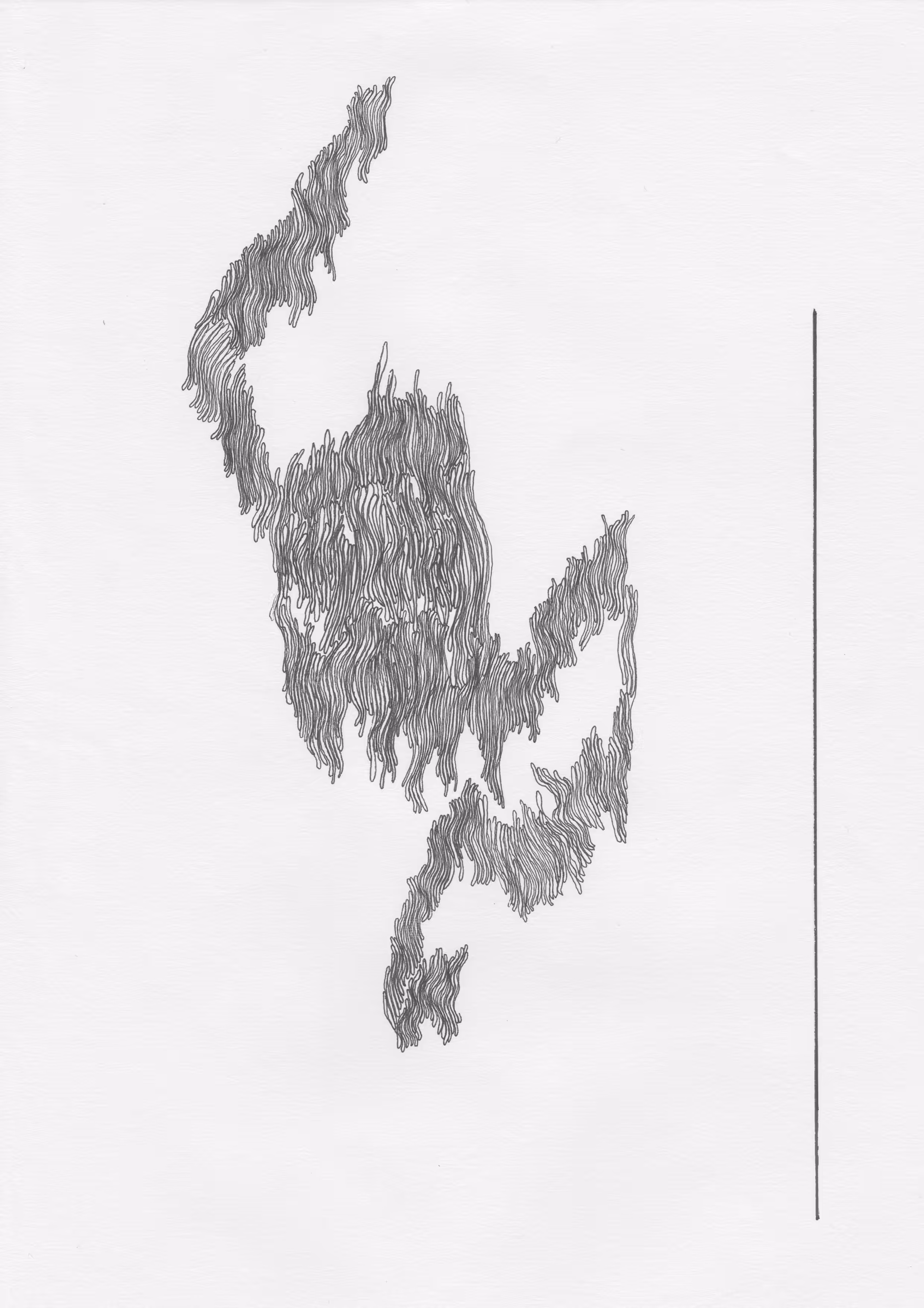 BUMPS & LINES 002