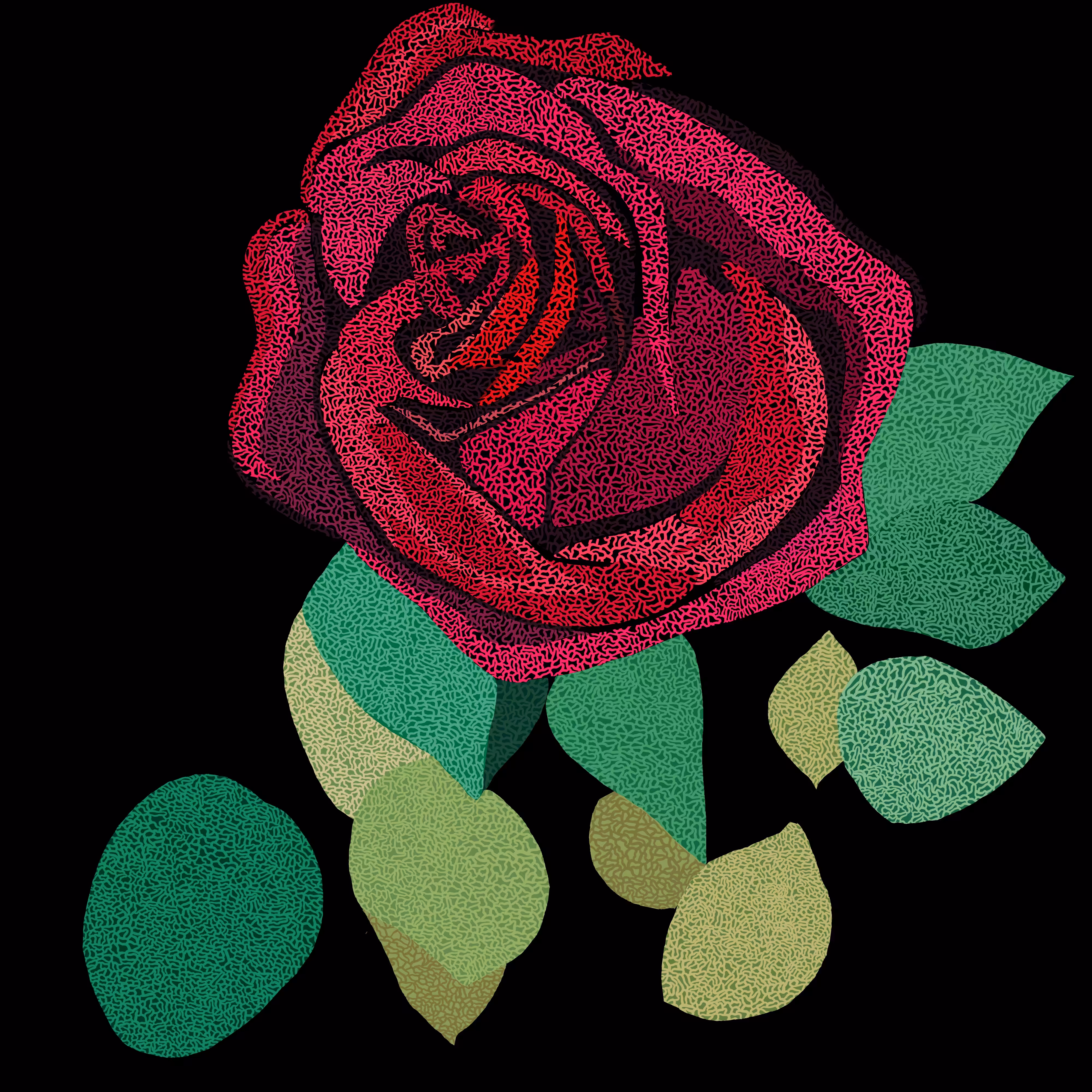Rose