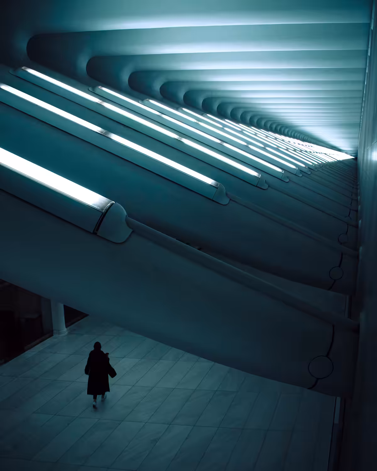 Passenger in trance