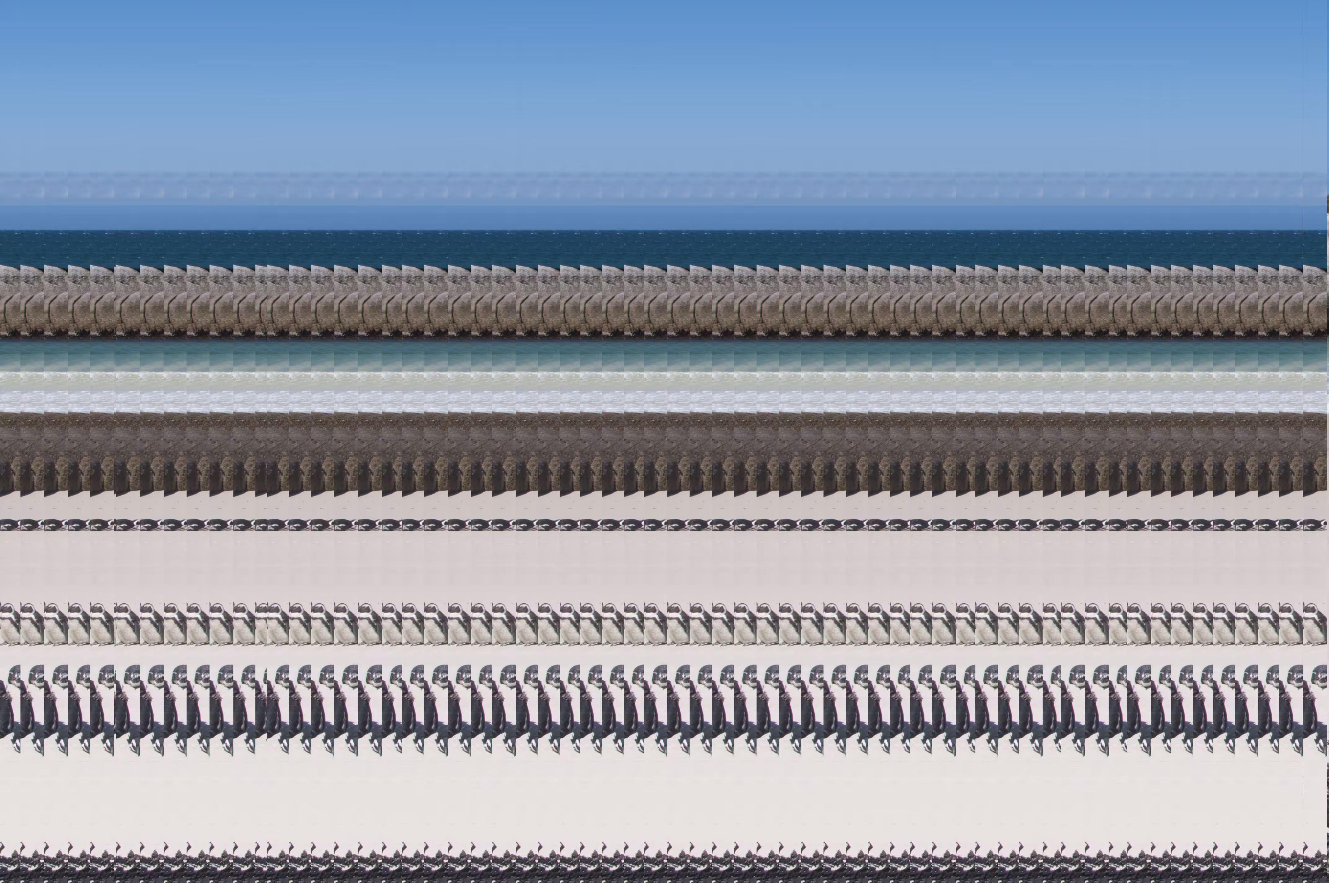 DEVELOPING EXPERIENCES // MLOW, 2011-2021 : PENGUINS AT THE BEACH, 2014