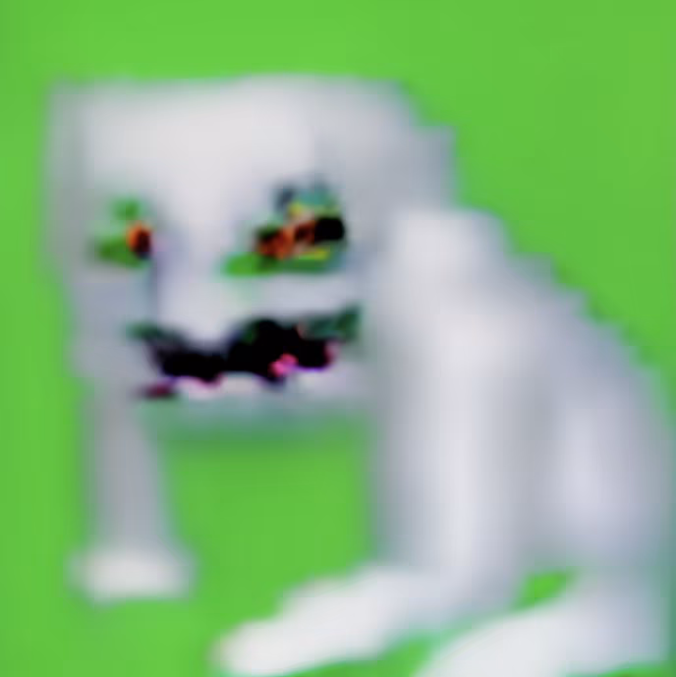 kadife