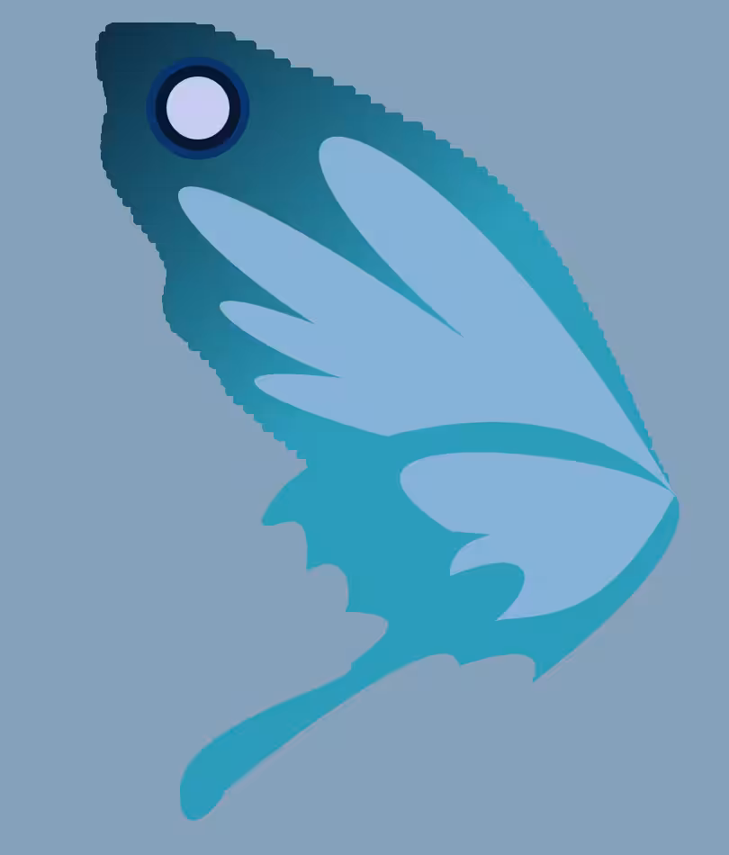 butter+fly #17