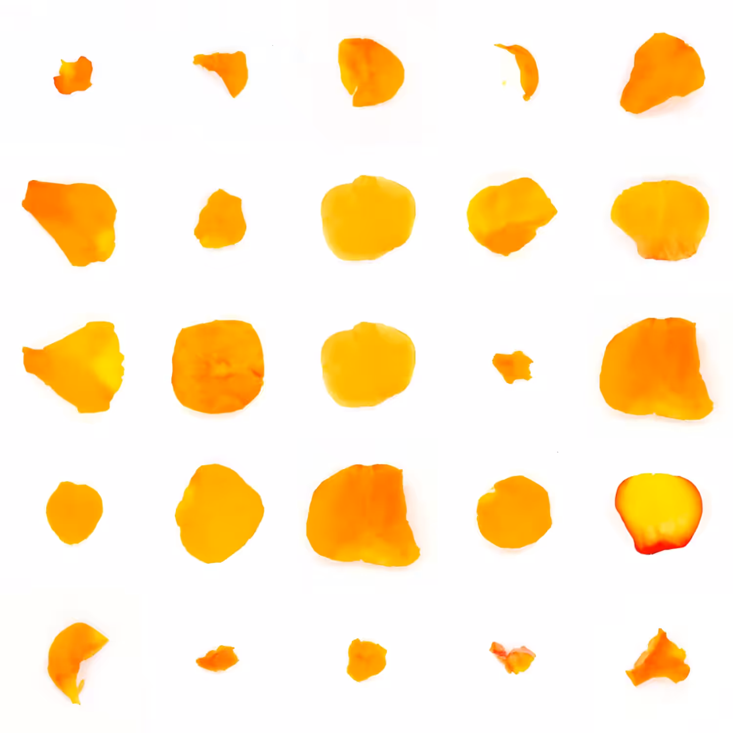Infinite Petals 5x5#86
