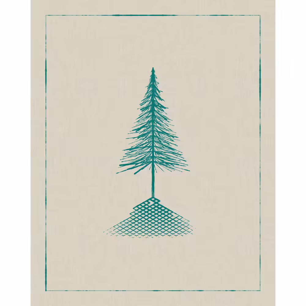 Roots #5