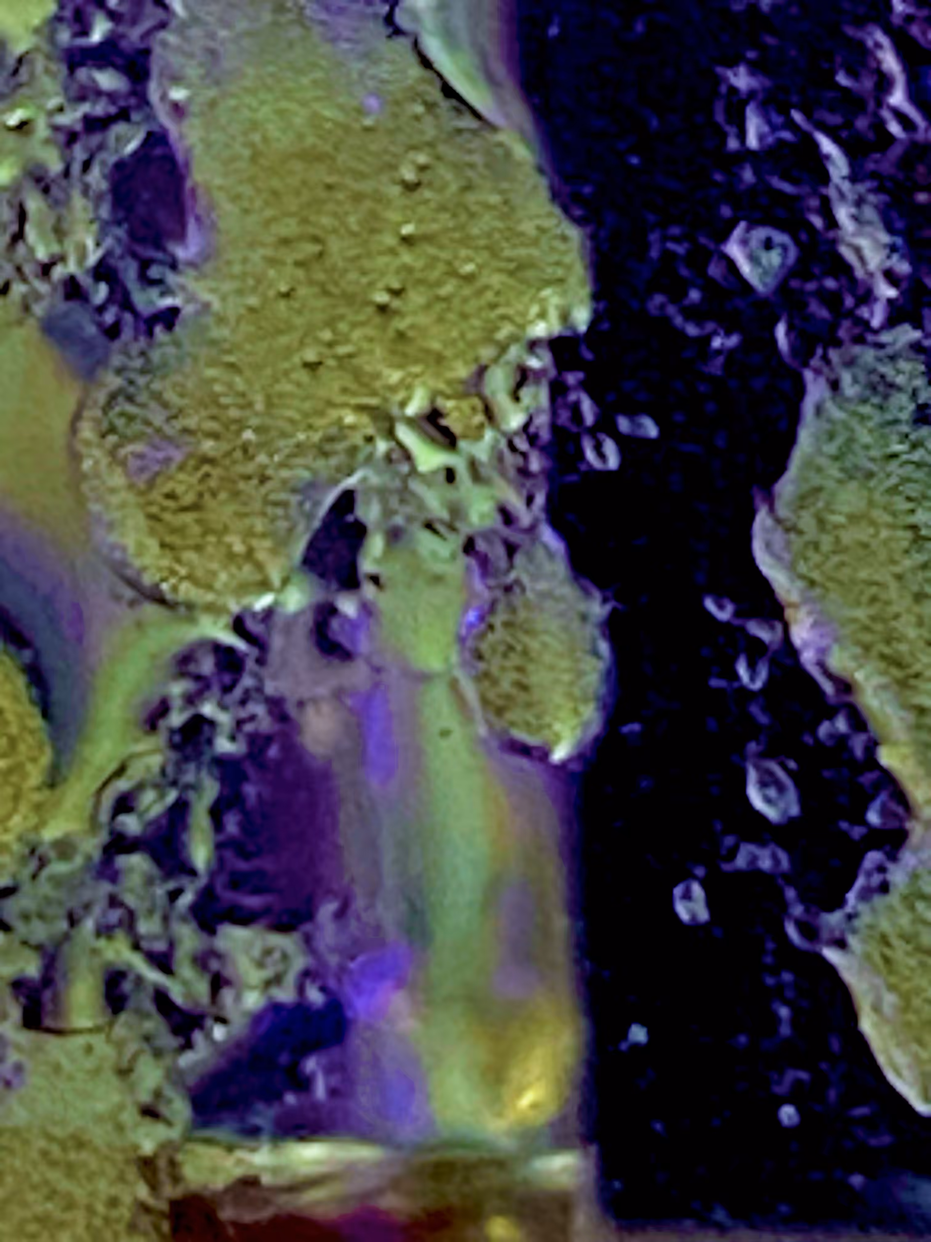 Sunrise on Mars