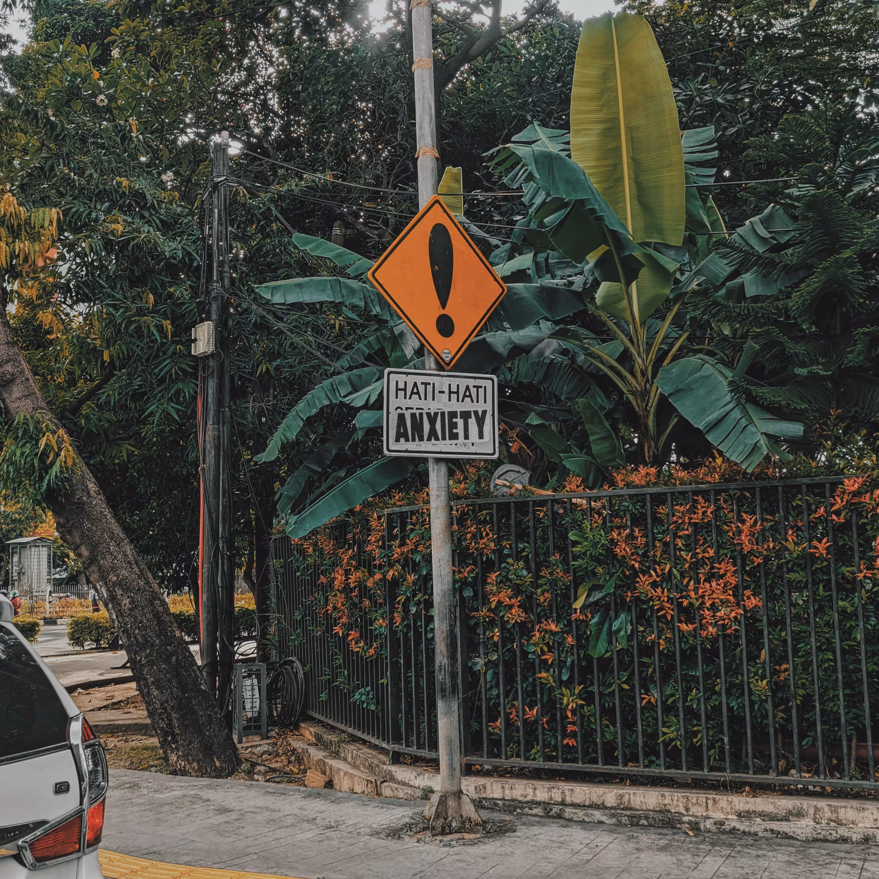 Anxiety