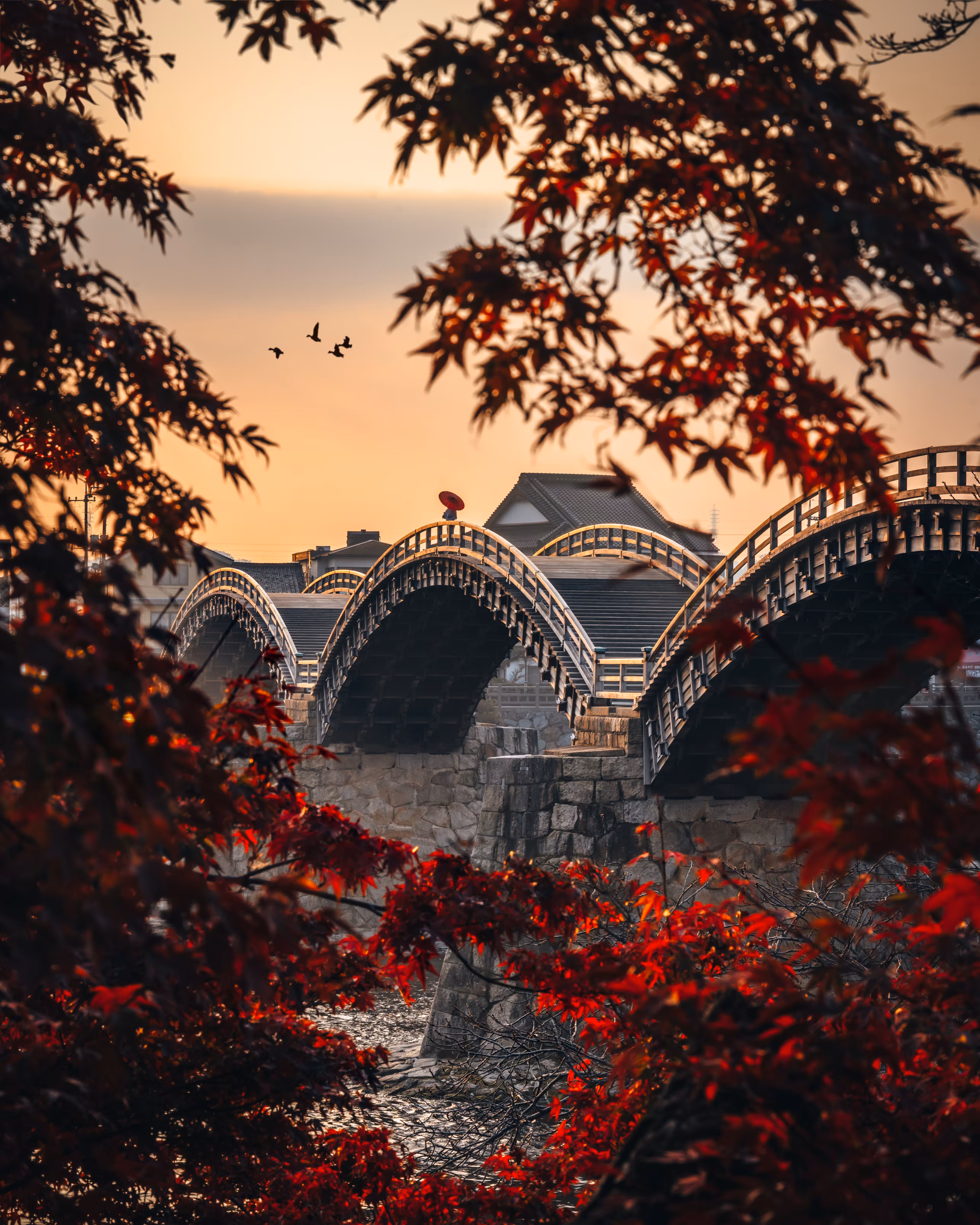 An Autumn Day Begins with the Morning Glow